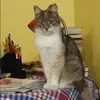 Отзыв от Клара Клюева